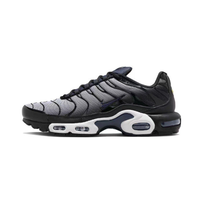 LAVIVE AM+ TN Sneaker